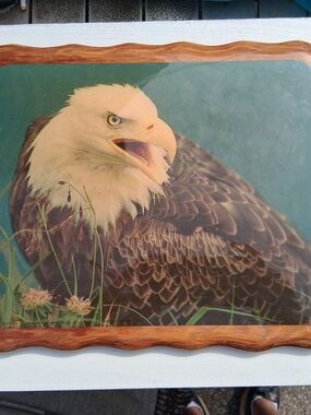 Vintage 70s Bald Eagle Wood Epoxy Wall Art 8 X10 Cabin Decor